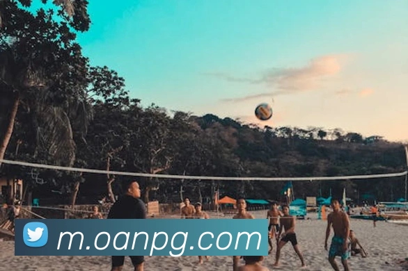 App Interface Preview