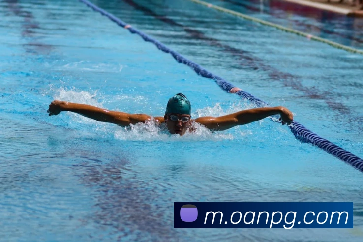 pg电子APP 封面图